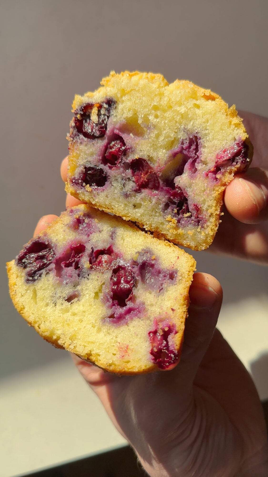 Jumbo Blueberry Muffins – Matt Adlard