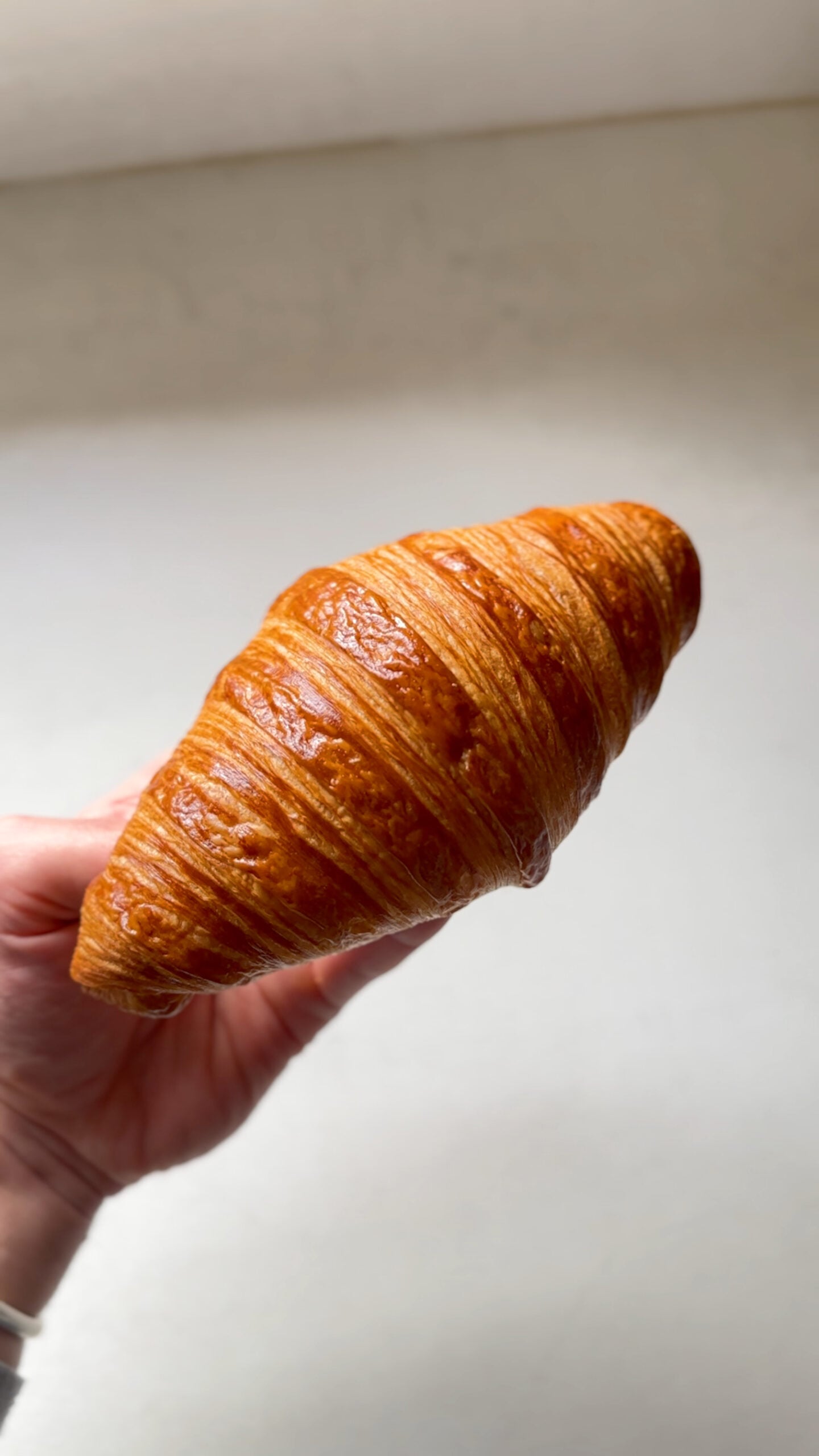 Authentic French Croissant
