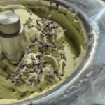 mint choc chip gelato (1)